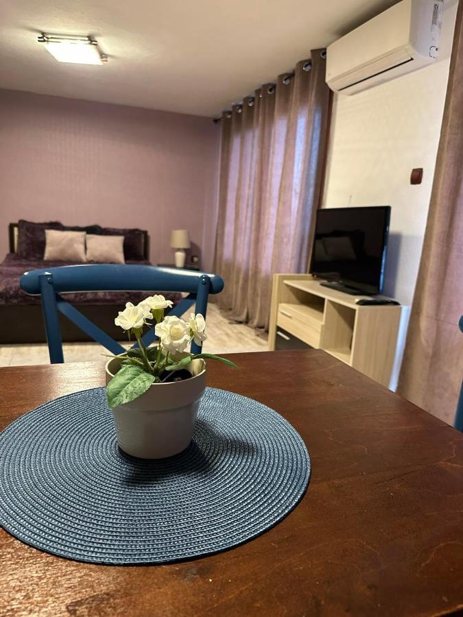Hotel Вила Николета Święty Włas Zewnętrze zdjęcie