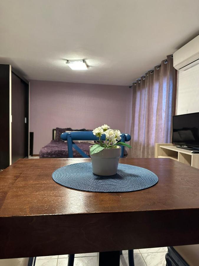 Hotel Вила Николета Święty Włas Zewnętrze zdjęcie